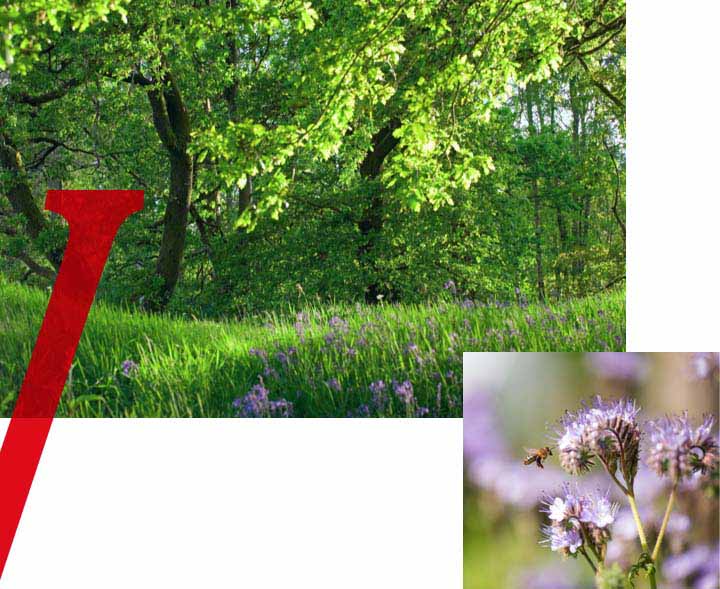 Vittel-Eau-Source