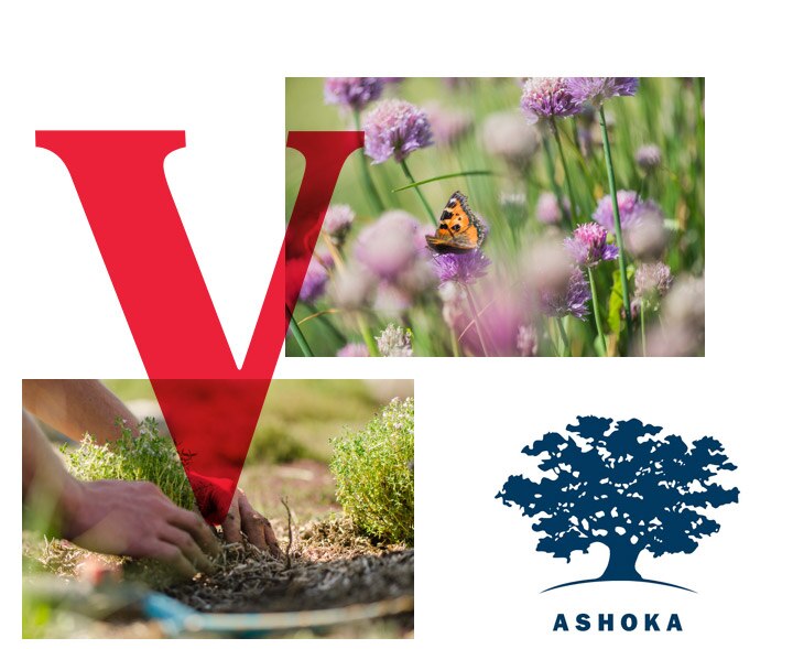 Vittel Ashoka ONG