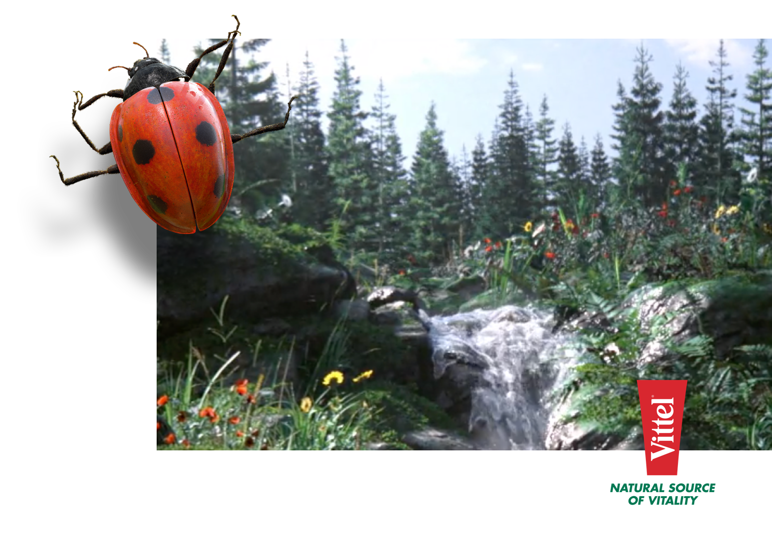 Vittel-nature