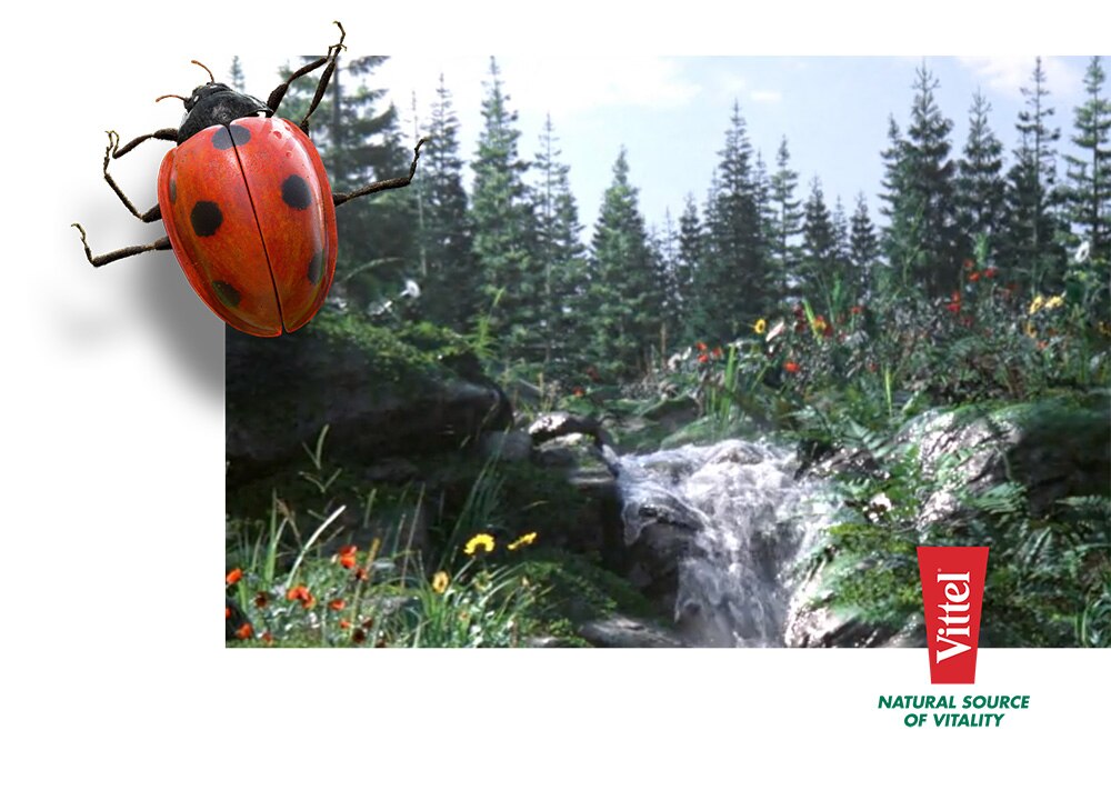 Vittel-nature