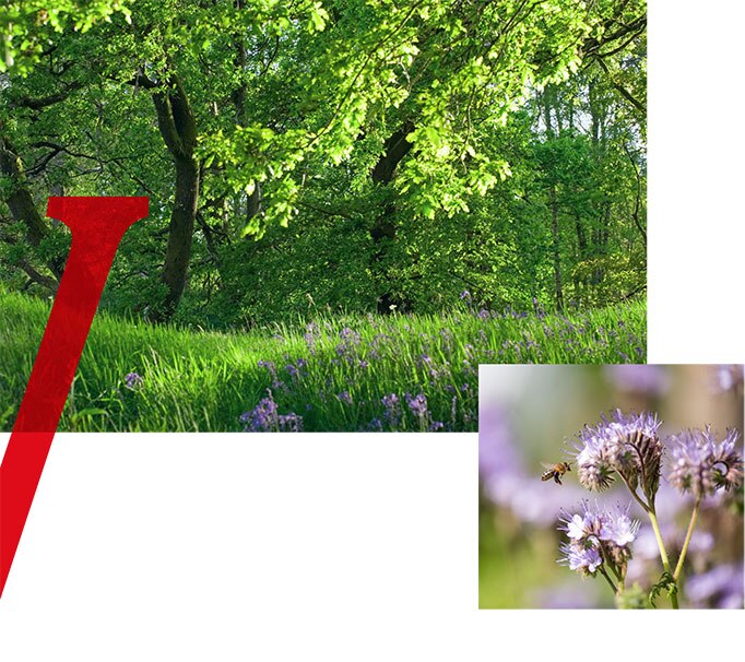 Vittel-Eau-Source