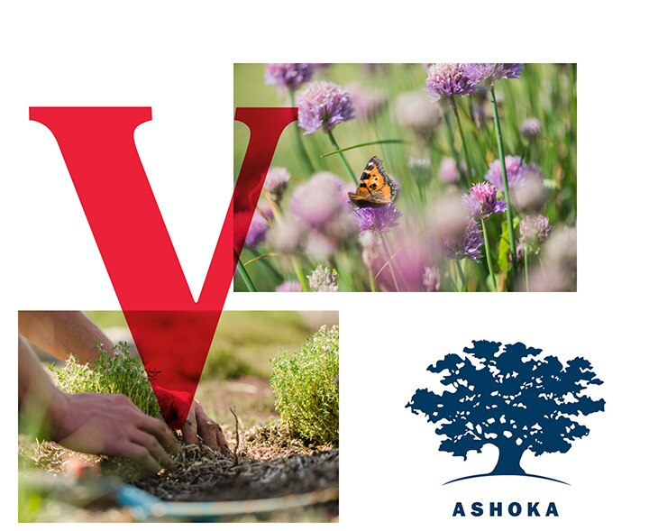 Vittel Ashoka ONG