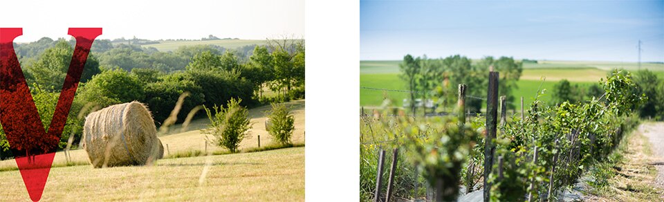 Vittel-agrivair-actions