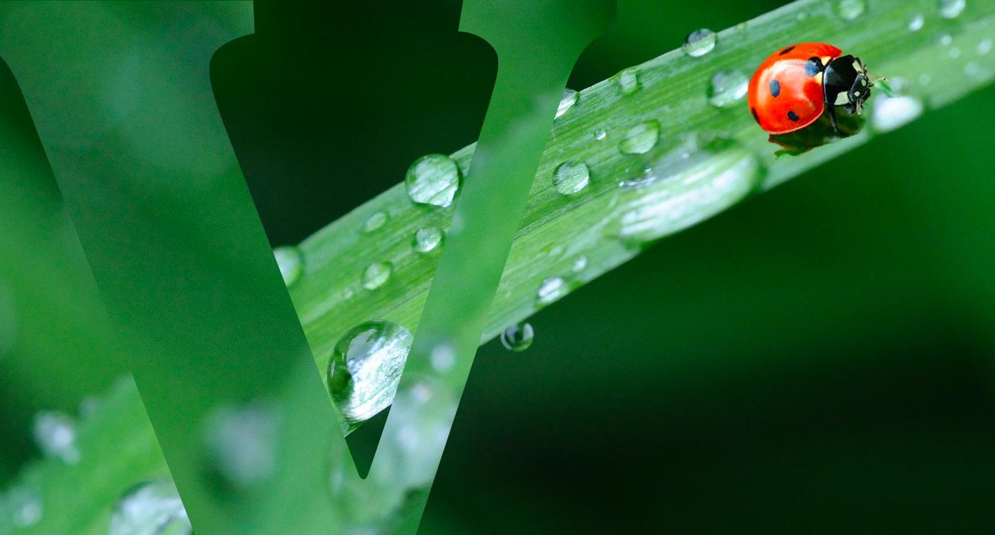 Vittel-biodiversite-header