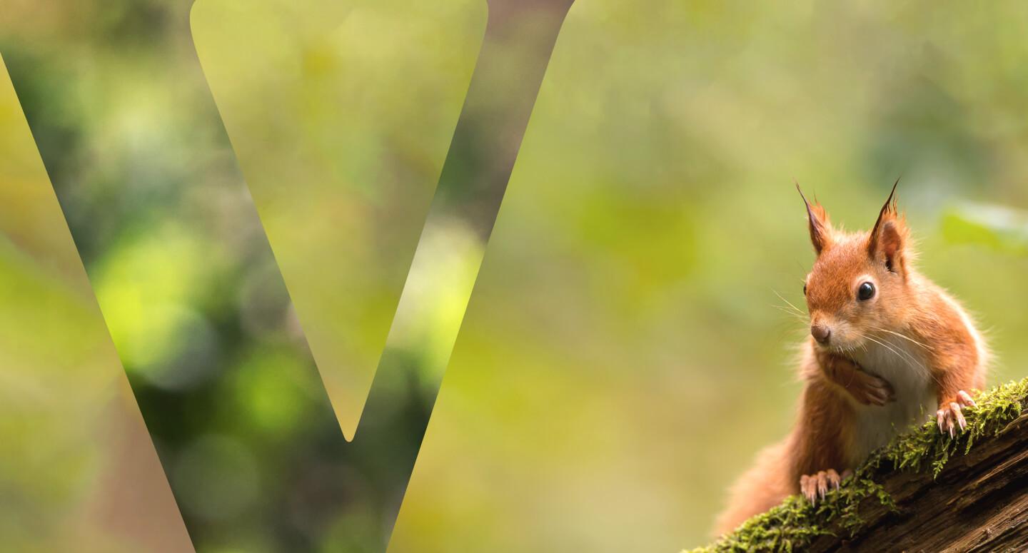 Vittel_ashoka_biodiversite_header