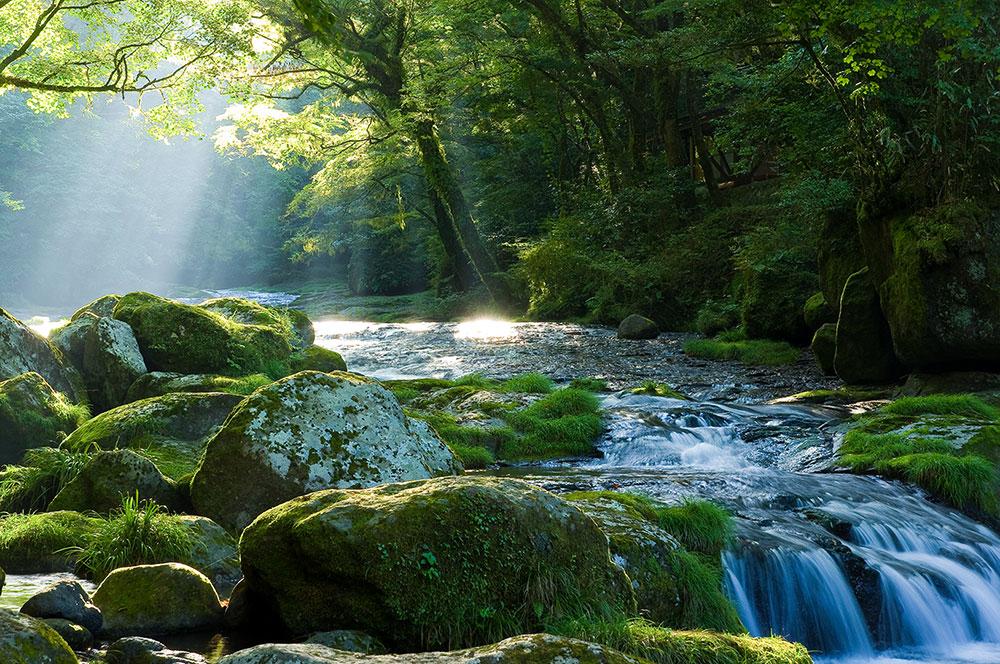 Vittel-nature