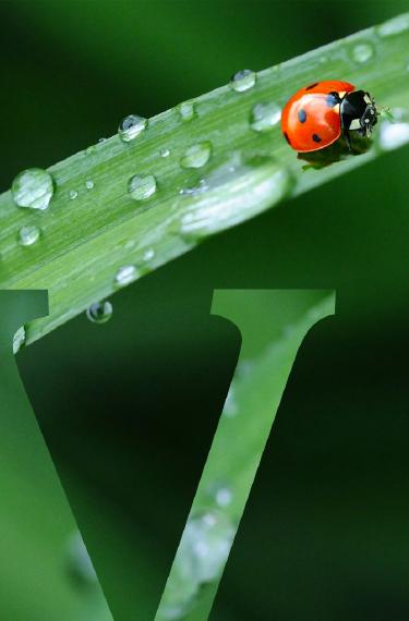 Vittel-biodiversite-header