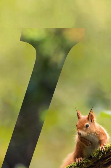 Vittel_ashoka_biodiversite_header_mobile