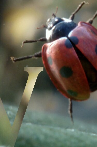 Vittel-Eau-Pleine-De-Vie-header-Mobile